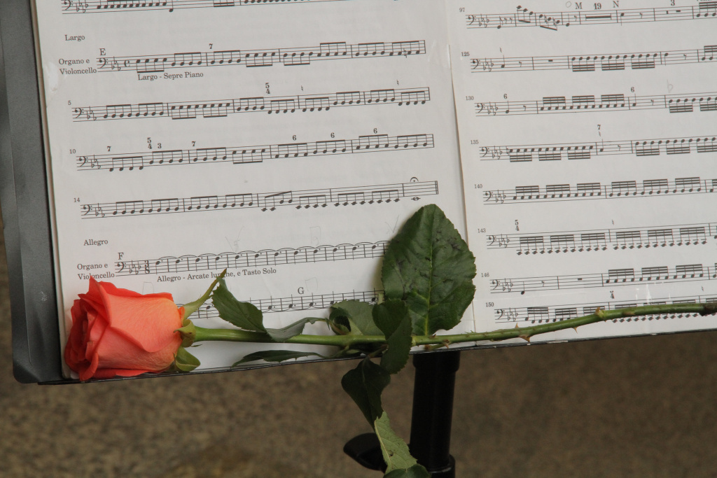    Фото: nsknews.info