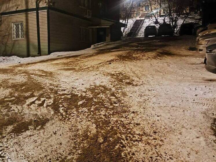     фото: Официальный телеграм-канал администрации Владивостока