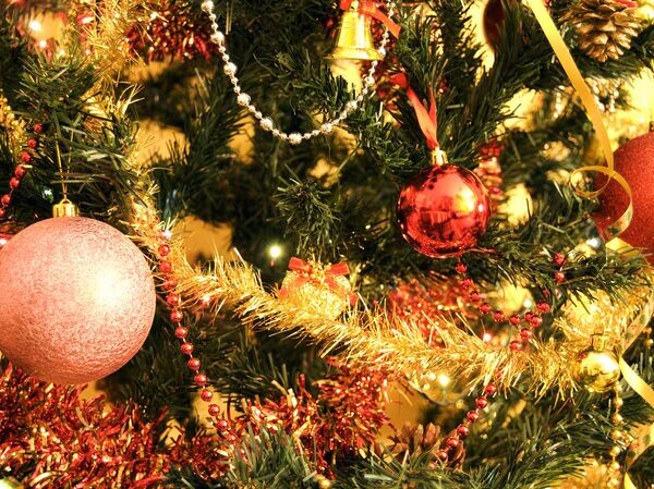    © flickr.com / tamburix