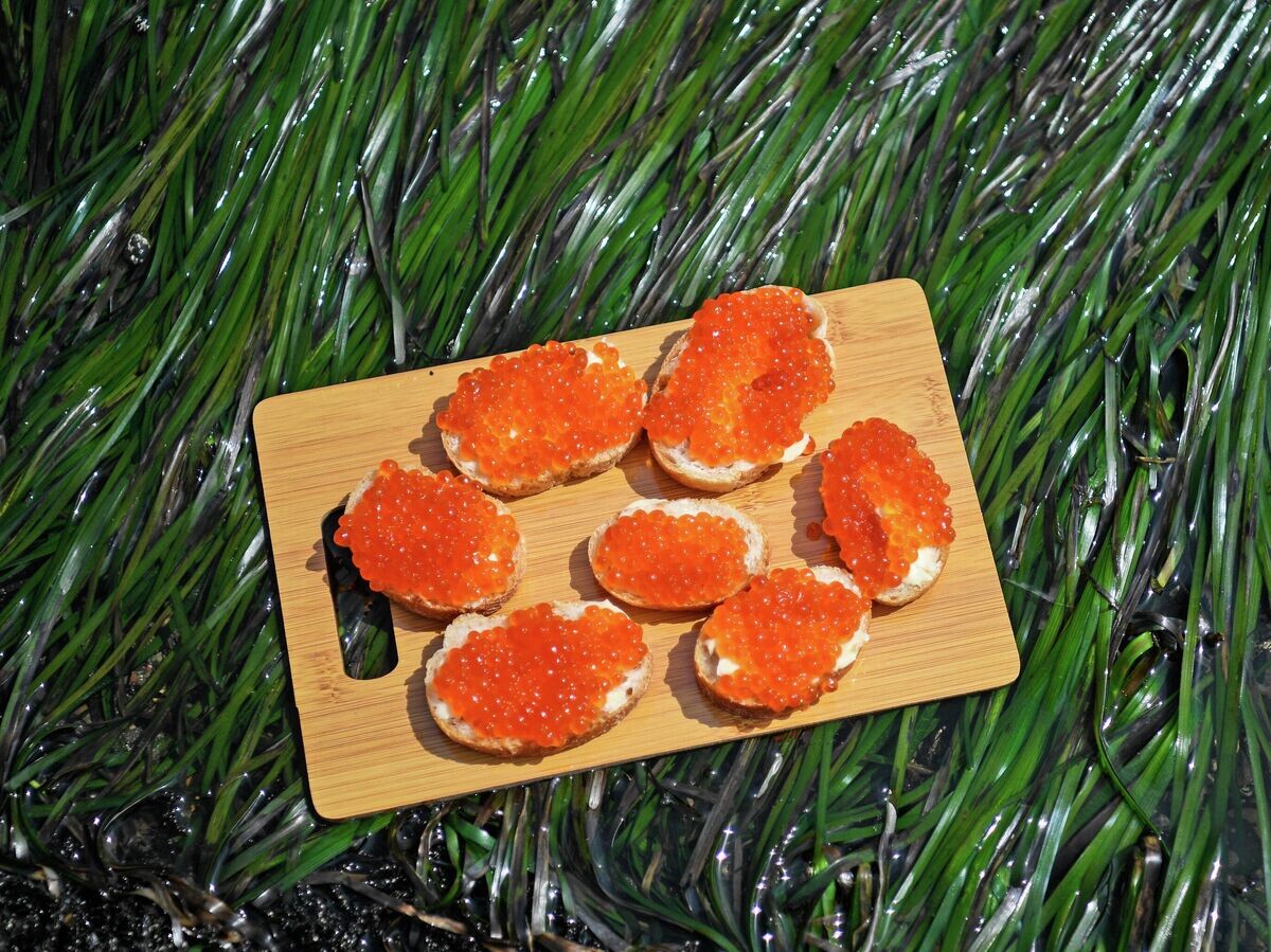    Бутерброды с красной икрой | © РИА Новости / Александр Кряжев