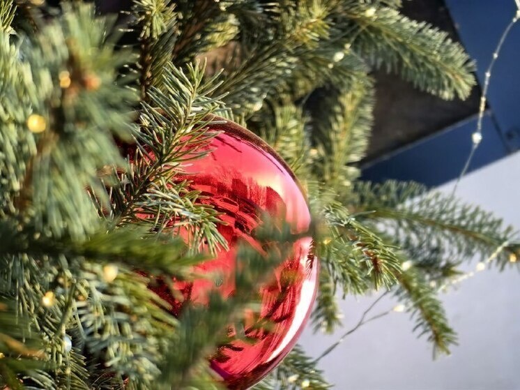   Ольга Григорьева