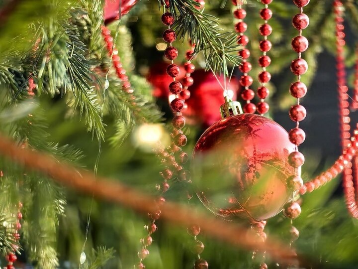   Ольга Григорьева