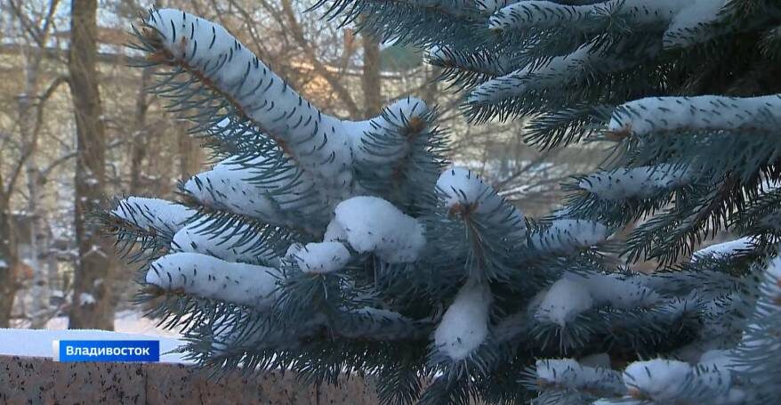    Источник фото: