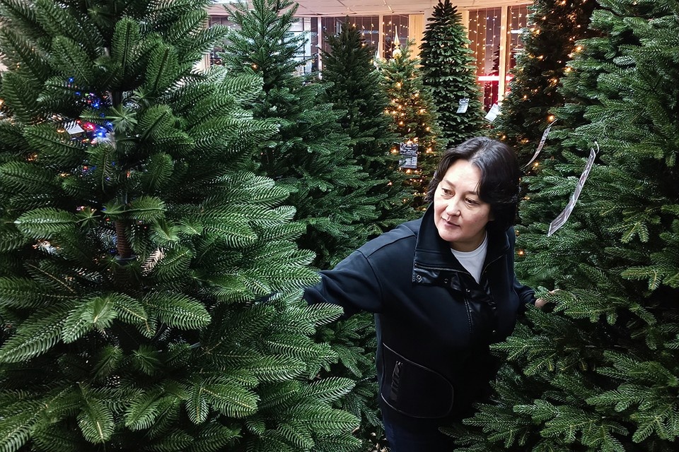    Наталья Варсегова присматривает себе елочку в рукотворном сказочном лесу Наталья ВАРСЕГОВА
