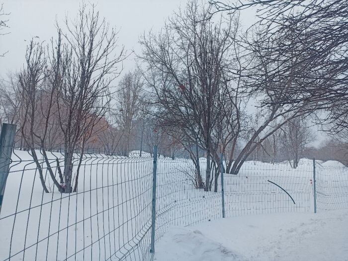 Мэрия Новосибирска назвала планы по благоустройству сквера Демакова на 2026 год