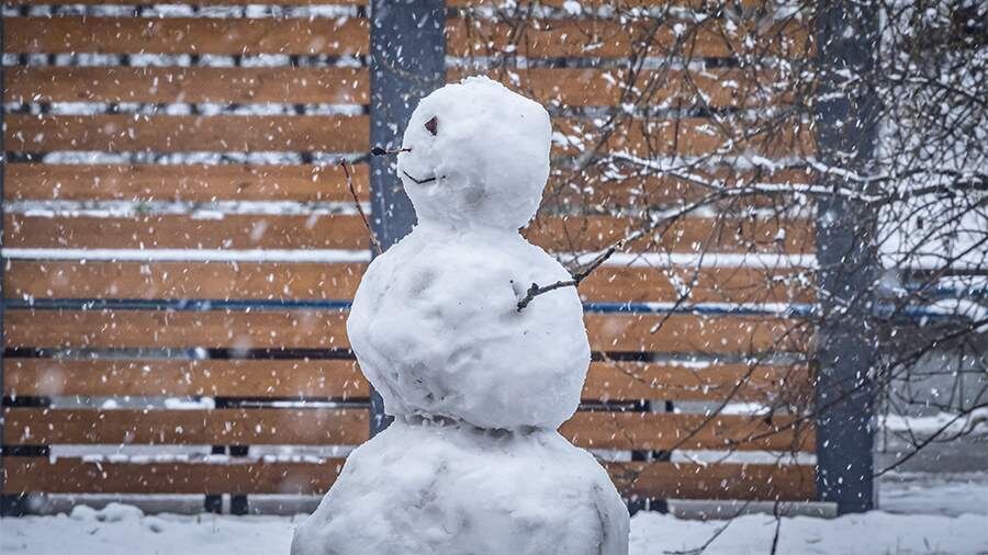   Фото: ИЗВЕСТИЯ/Константин Кокошкин