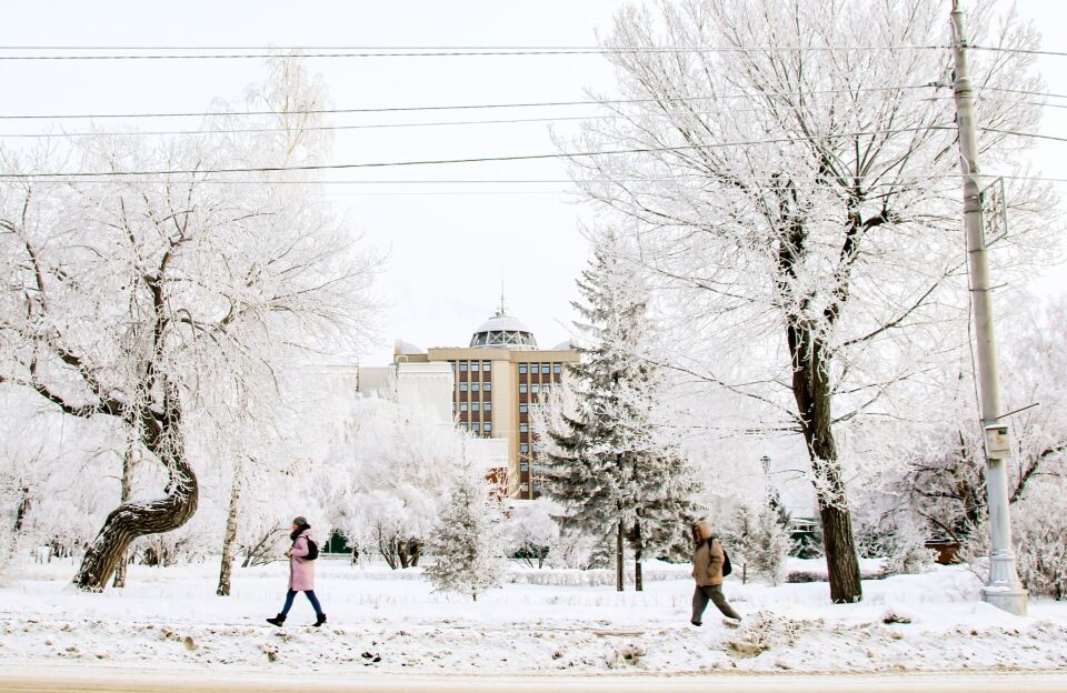    Барнаул. Зима. Источник: Виталий Барабаш / СИ «Толк»