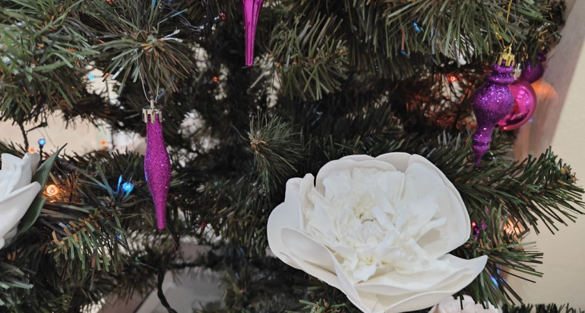    Первый городской канал Калининград