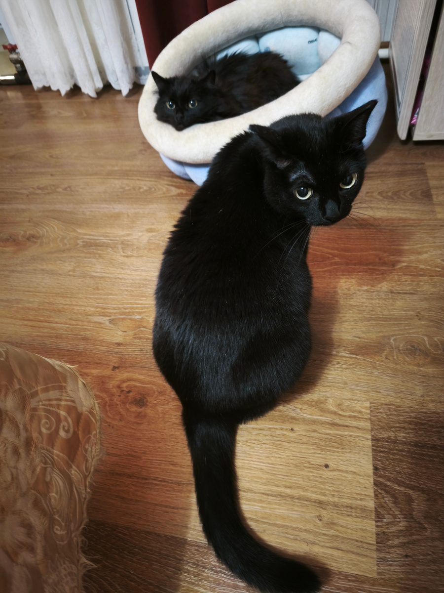 уйди, мать, не мешай смотреть.