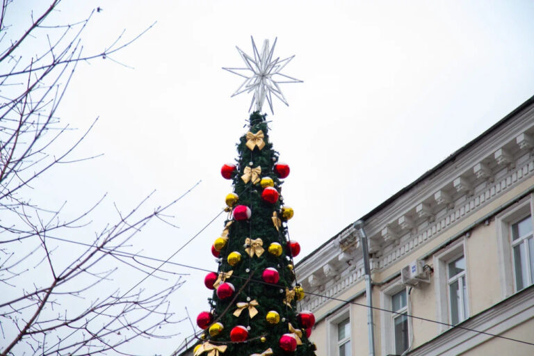    Фото: Общественная Служба Новостей Анастасия Мишкина