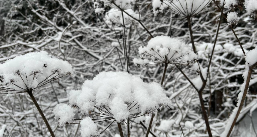 В Коми 26 декабря ожидается снежный и морозный день
