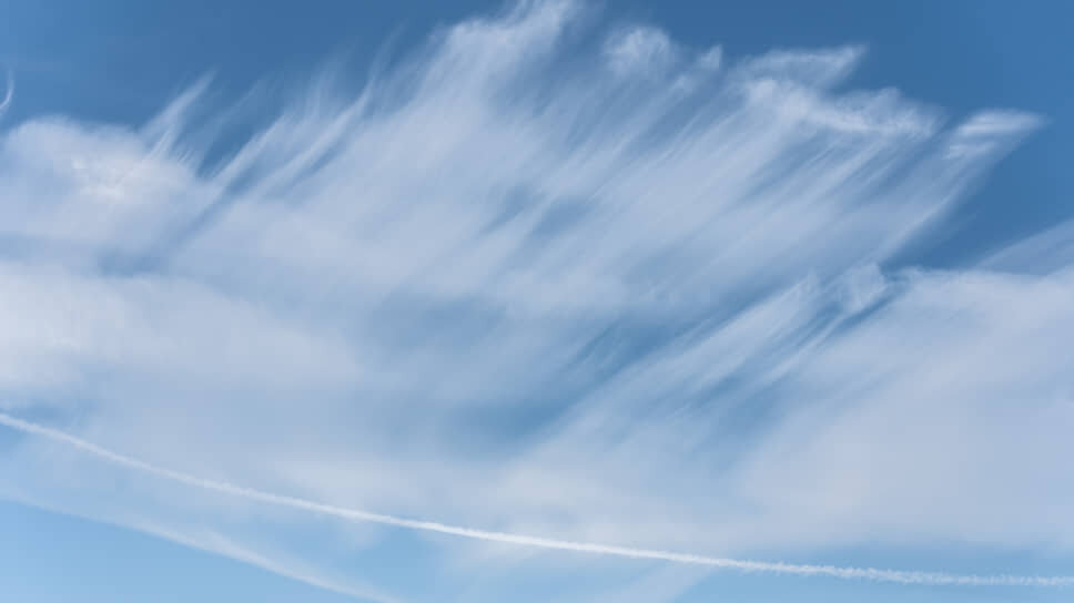 Фото: Игорь Елисеев / Коммерсантъ