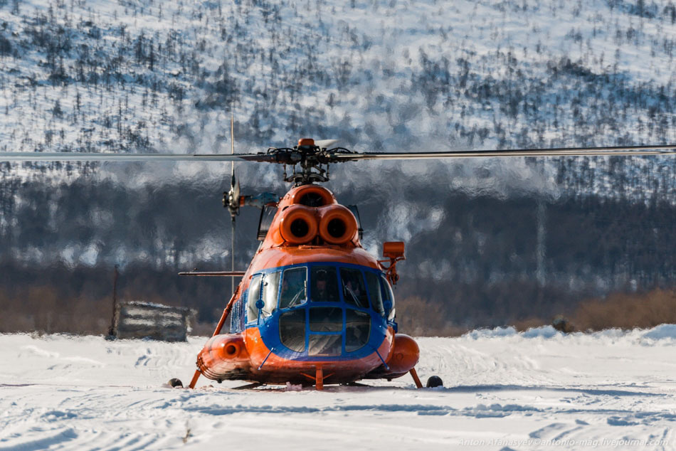 Фото: Антон Афанасьев