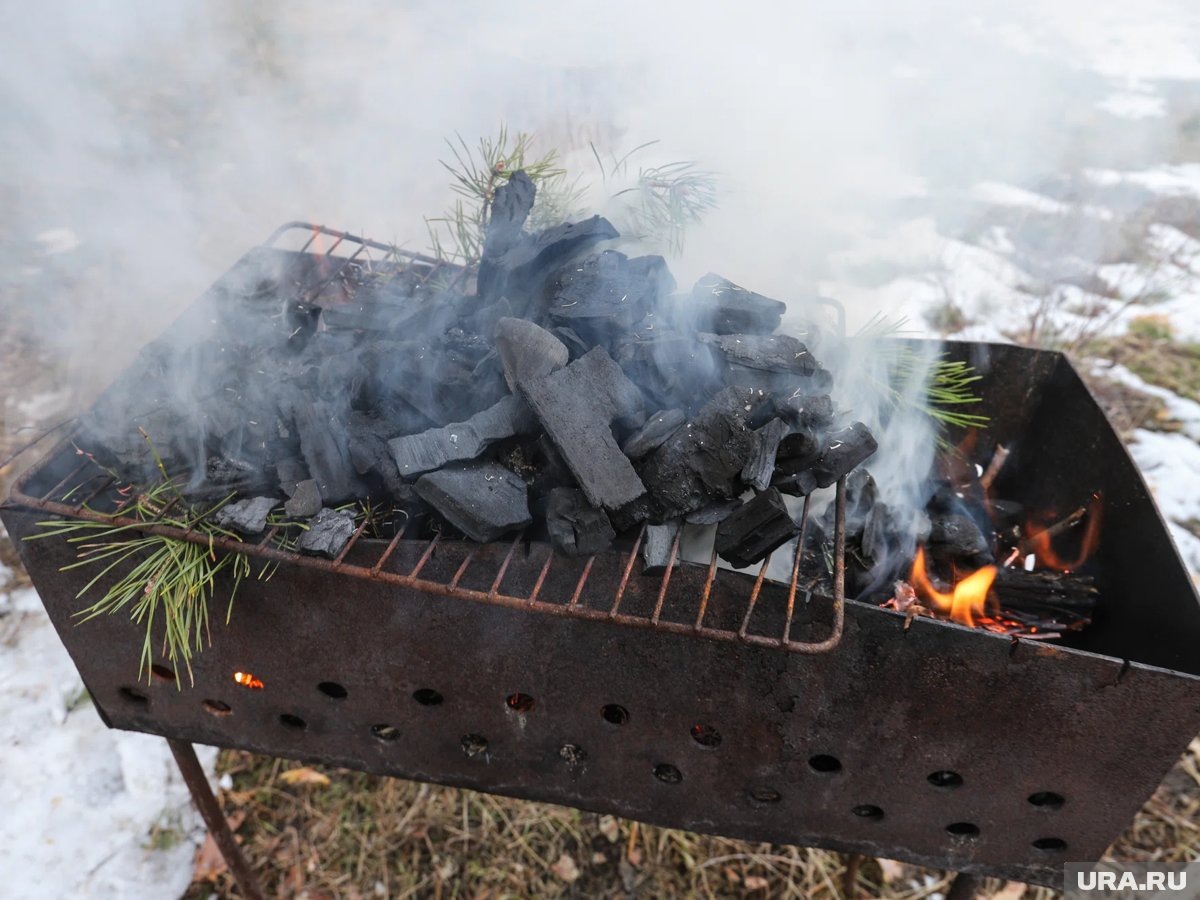     В Челябинской области владельца парк-отеля обязали снести виллы, бани и мангалы
