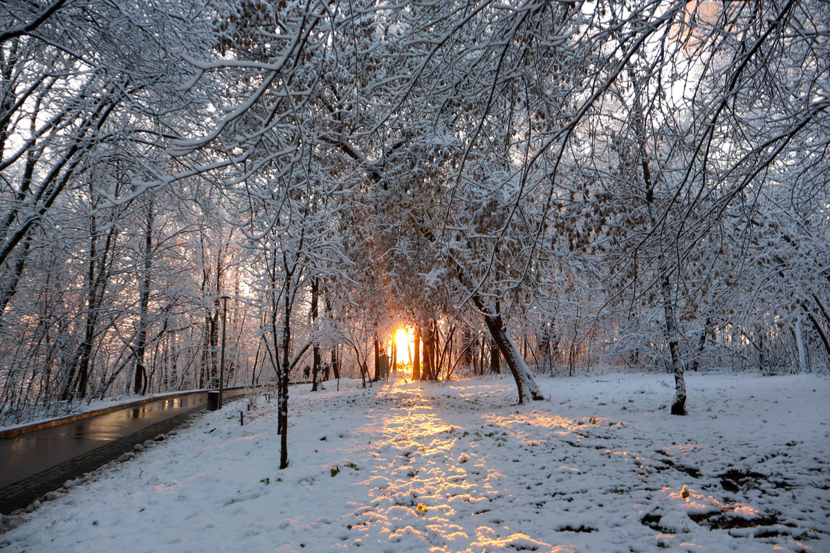 Синоптики рассказали о смене погодного режима в Приморье.  Фото: Фото: ФедералПресс / Вера Романескул