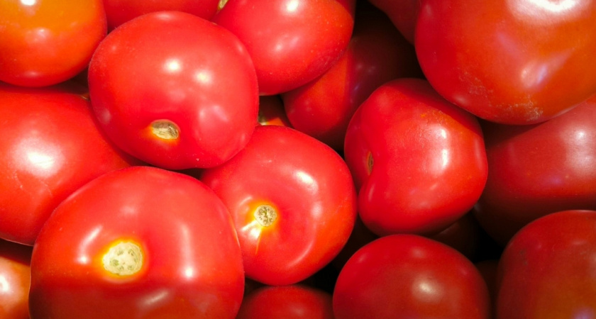 Не сорта, а лидеры урожайности: сочные и сладкие томаты – с куста собираем по 15 килограммов