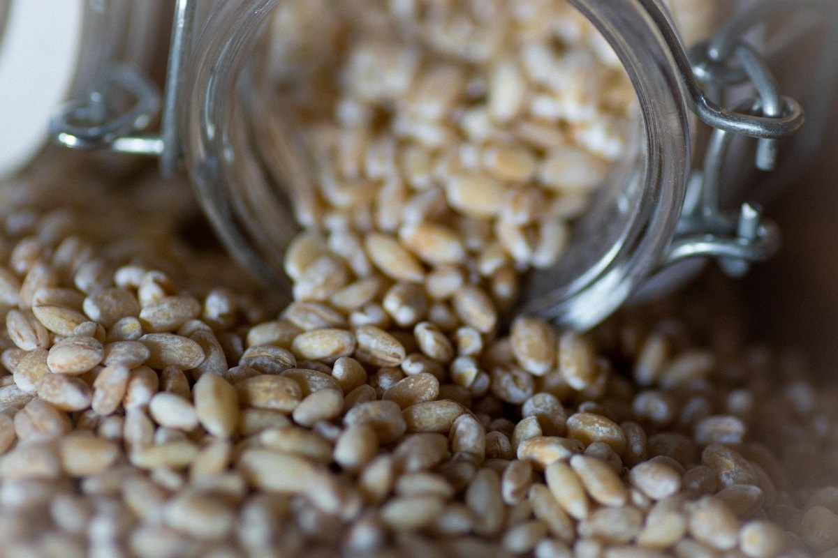    Фото: gaetano28 / Pixabay.com