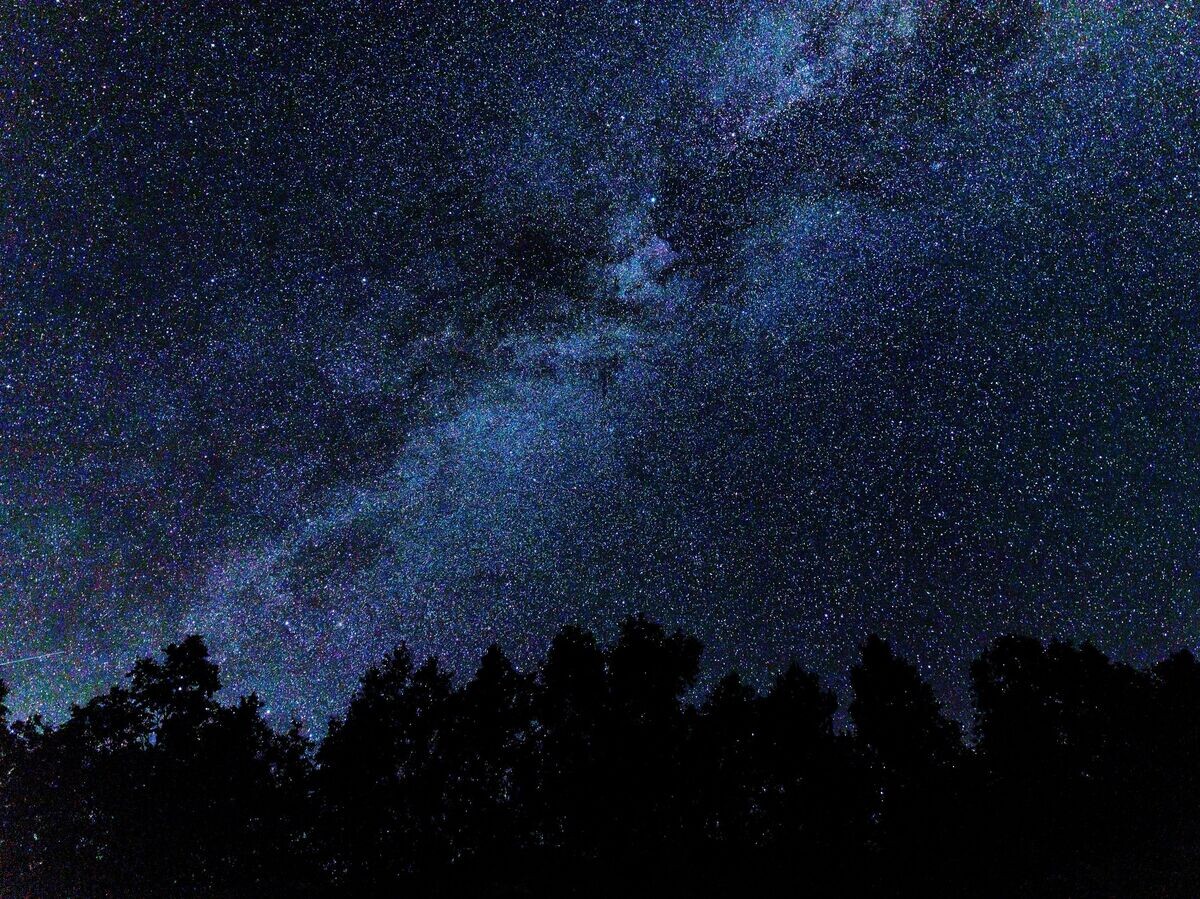    Звезды© РИА Новости . Виталий Тимкив