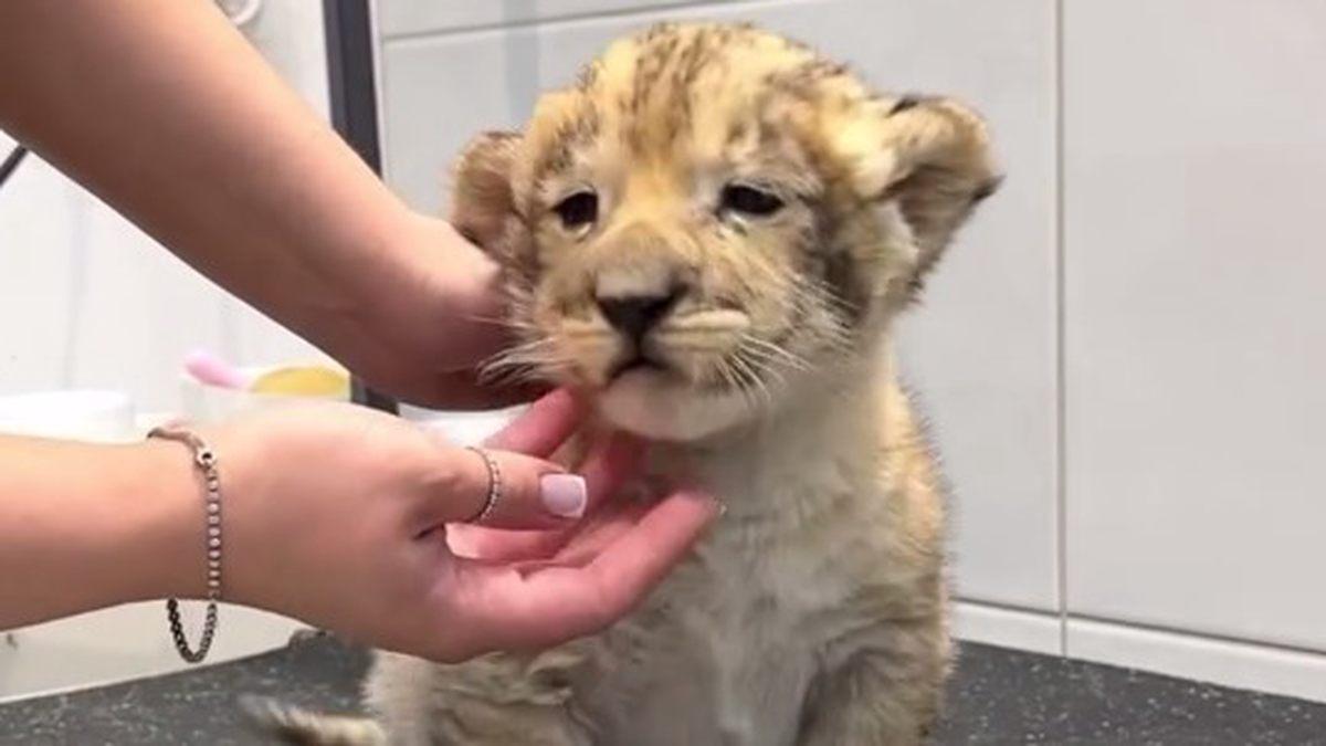    Фото: Росприроднадзор