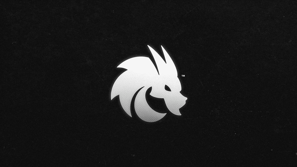 Источник: официальный сайт Team Spirit