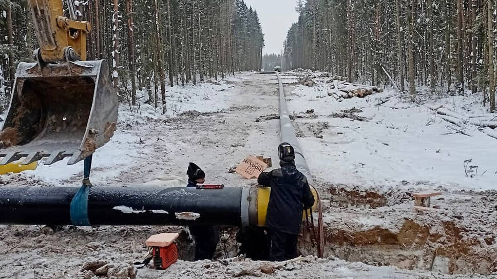 Фото: пресс-служба краевого правительства