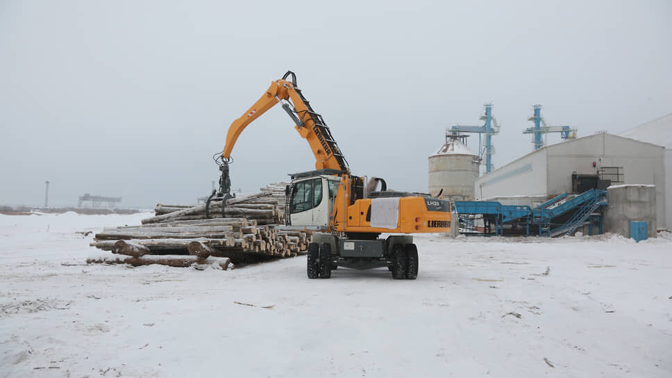 Фото: Максим Кимерлинг / Коммерсантъ