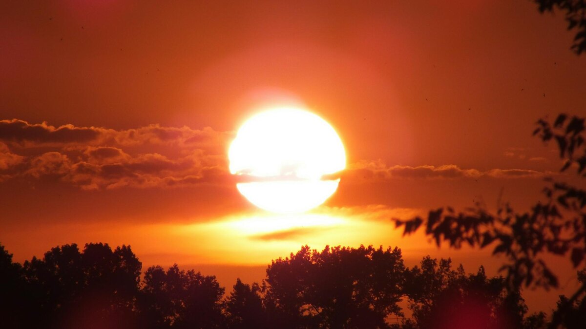    Фото: globallookpress/Victor Lisitsyn