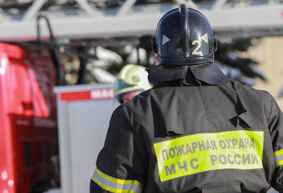    Сергей Булкин/NEWS.ru