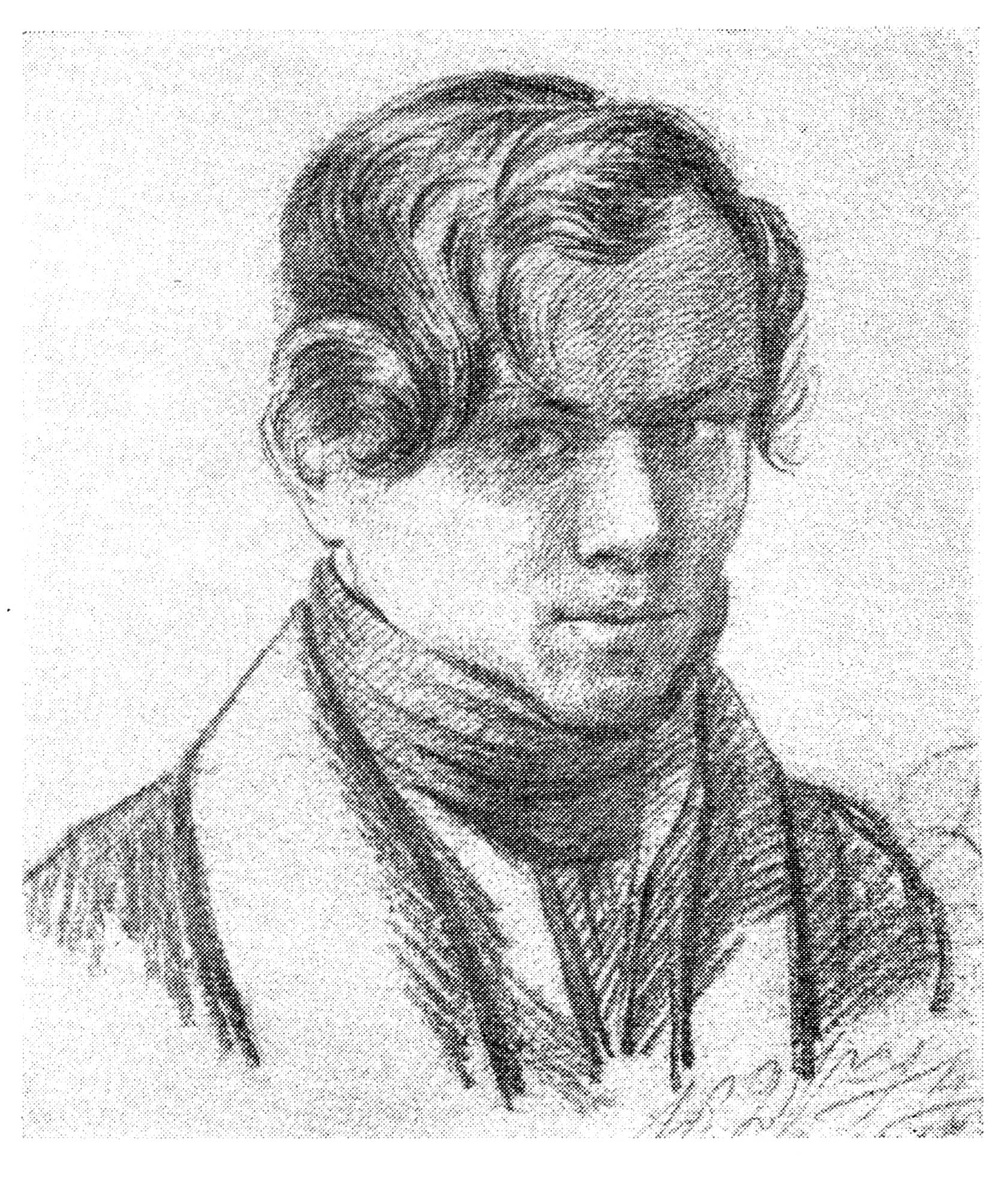 Н. А. Заболоцкий, 