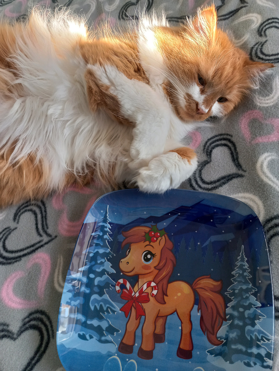 Фото личное