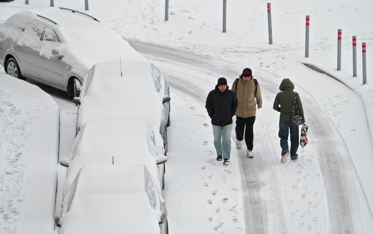     / Источник: © ИЗВЕСТИЯ/Дмитрий Коротаев