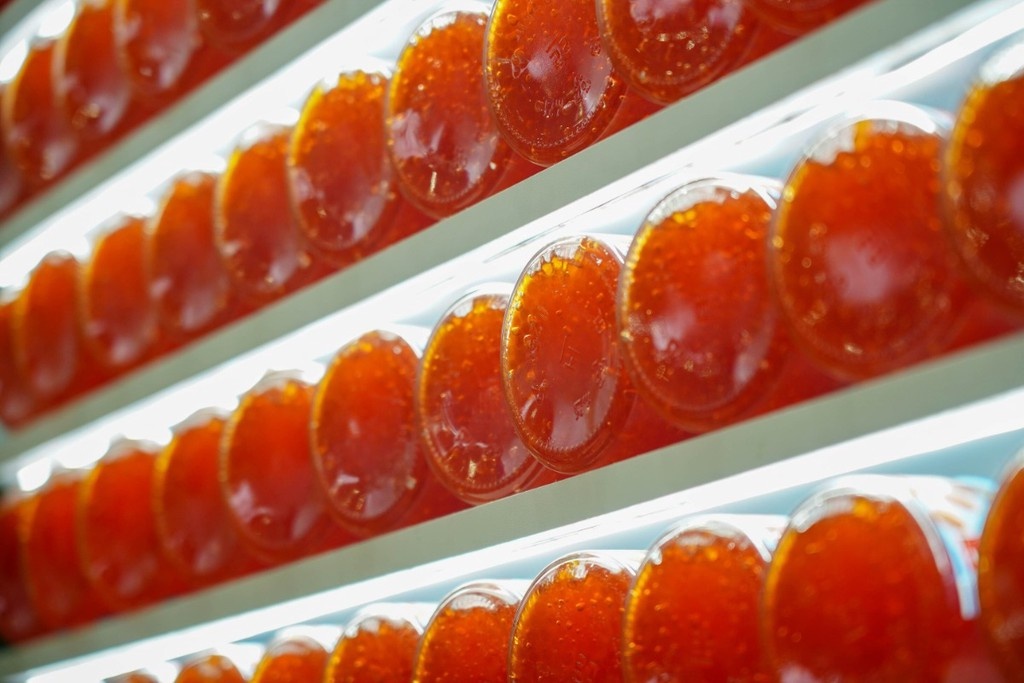    Фото © АГН «Москва» / Александр Авилов