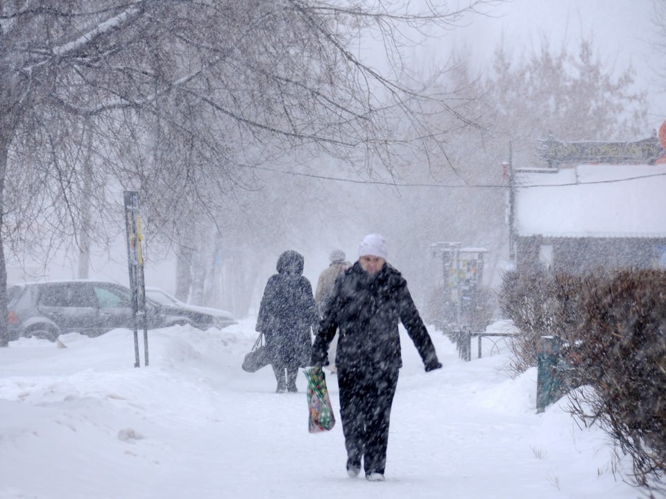    Фото: медиасток.рф