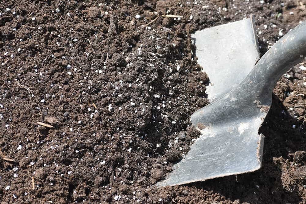 Лучше строго соблюдать дозировку при внесении этого удобрения в почву