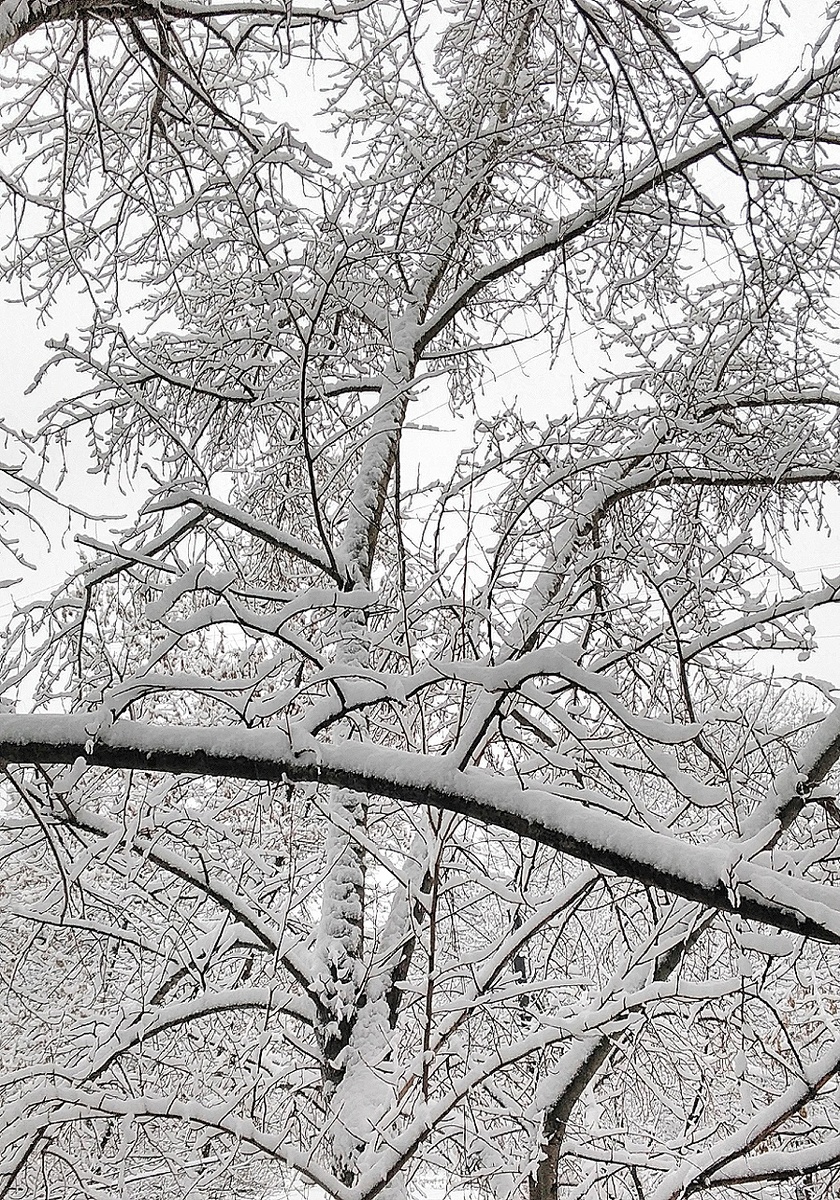 Снежная Москва 2026. Наконец-то Москве выдали снег ❄️❄️❄️ 26 декабря 2025. Усадьба Воронцово в снегу😍