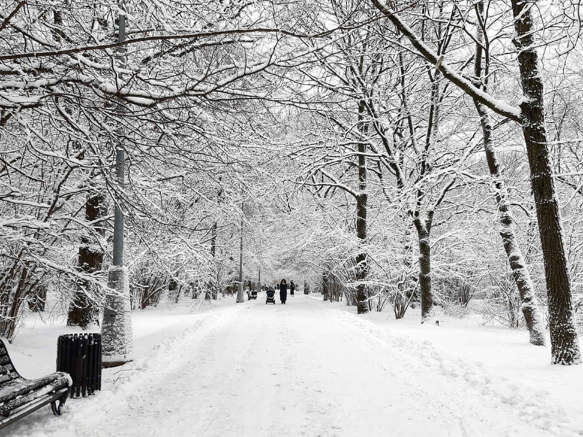 Снежная Москва 2026. Наконец-то Москве выдали снег ❄️❄️❄️ 26 декабря 2025. Усадьба Воронцово в снегу😍