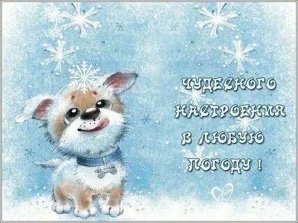 Яндекс картинки.