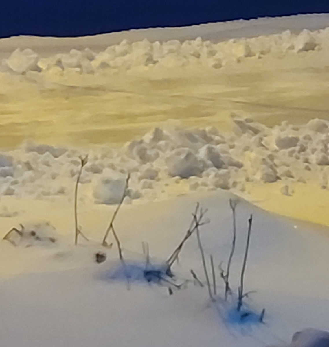 Фото автора ранним утром.