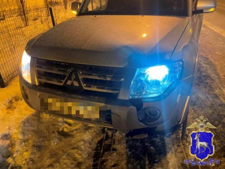     Все произошло вчера примерно в 7:20. Фото: ГУ МВД России по Самарской области