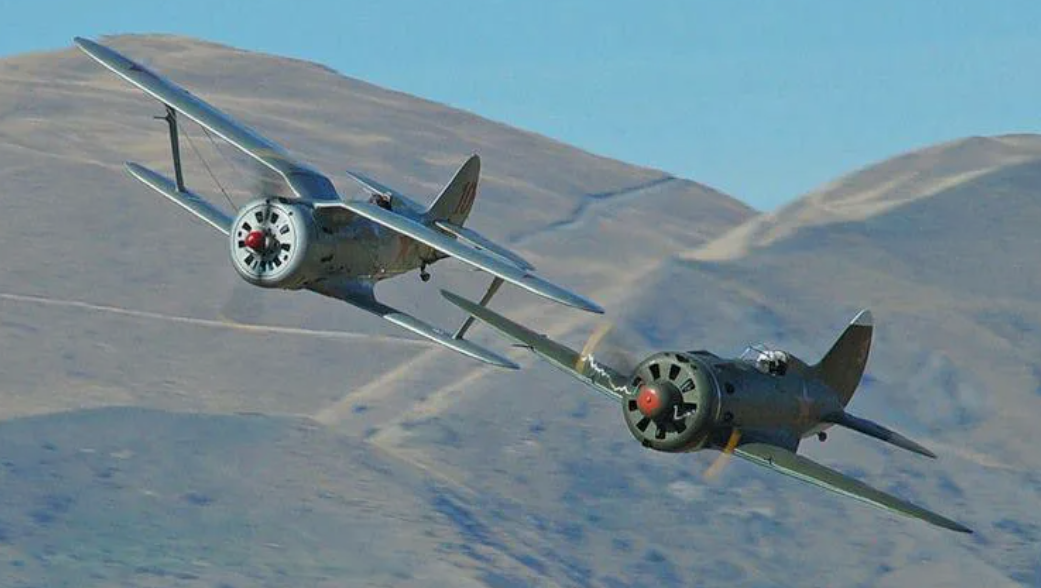 Самые распространённые самолёты ВВС СССР начала войны: "чайка" (штурмовик) и "ишак" (истребитель).