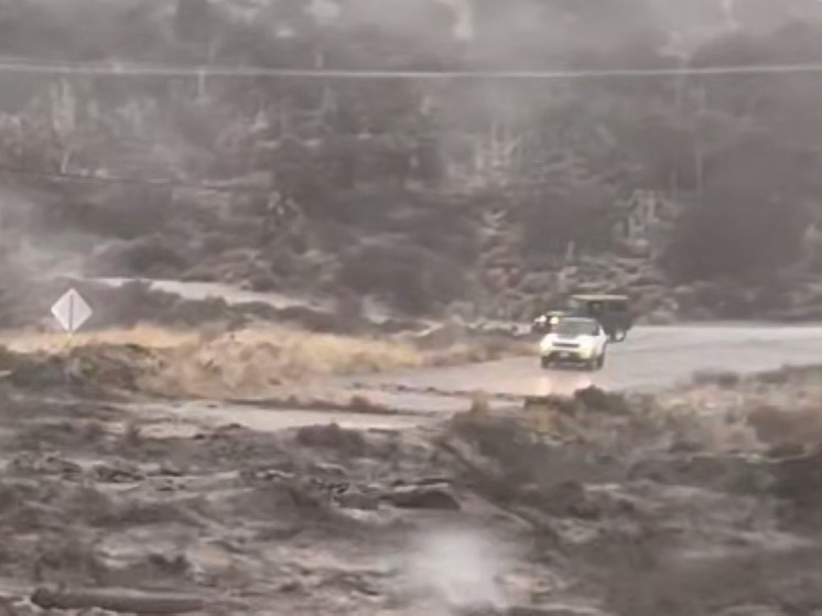     Фото: скрин видео из соцсетей