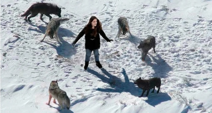 Картинка из этих, ихних интернетов