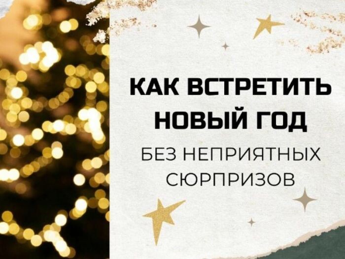 Новосибирские власти напомнили, как встретить Новый год без неприятных сюрпризов