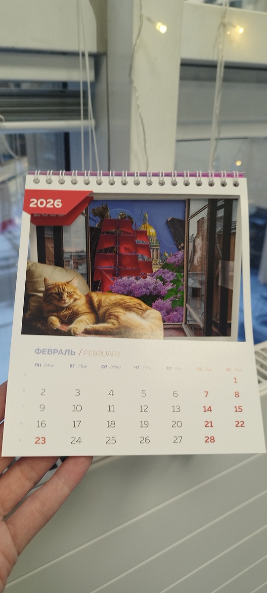 В феврале кот-мурлыка расслабляется в ожидании марта. А нас ожидает еще много интересного! 