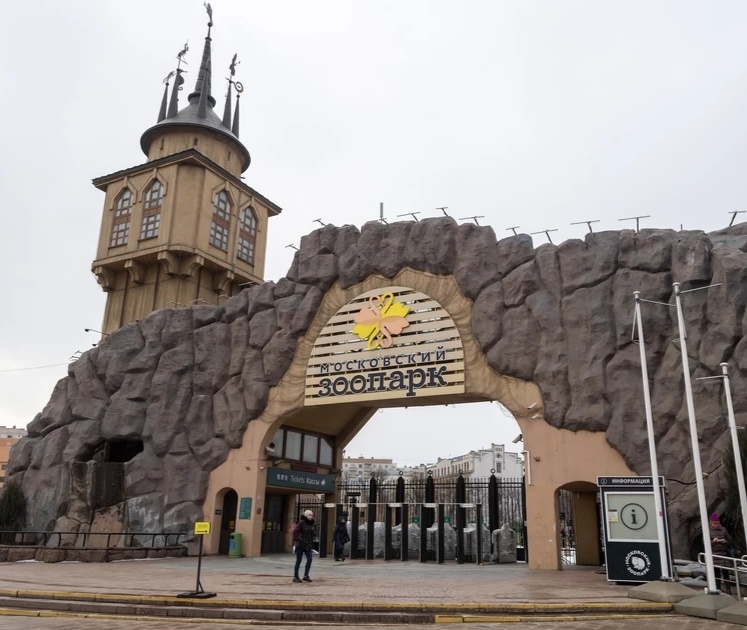 Куда можно сводить человека который всю жизнь прожил в сельской местности и не видел ничего кроме коровы, кур и поросят? Московский зоопарк - идеальное место. 