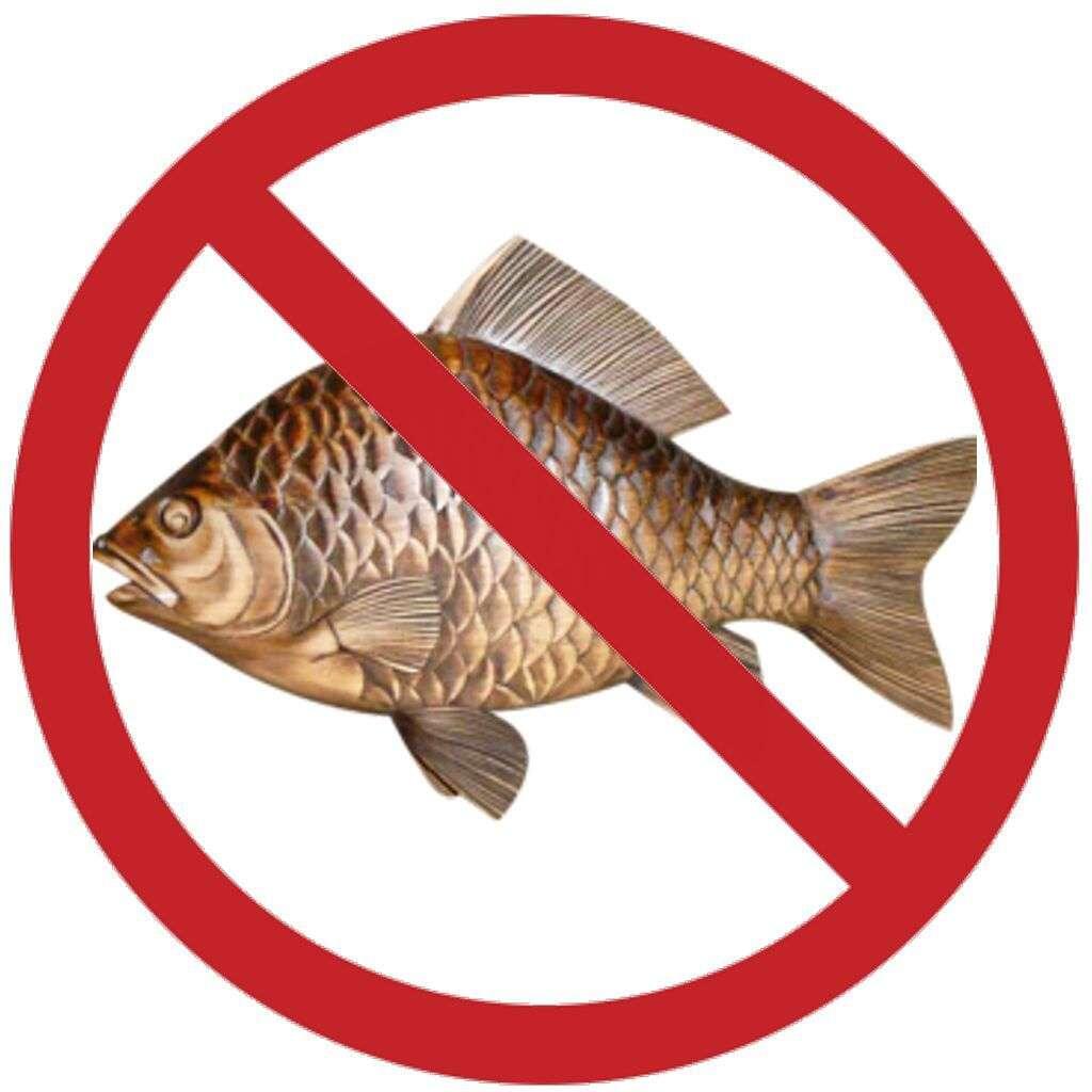 Картинка с сайта donpress.ru