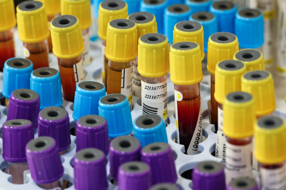    Алексей Белкин/NEWS.ru