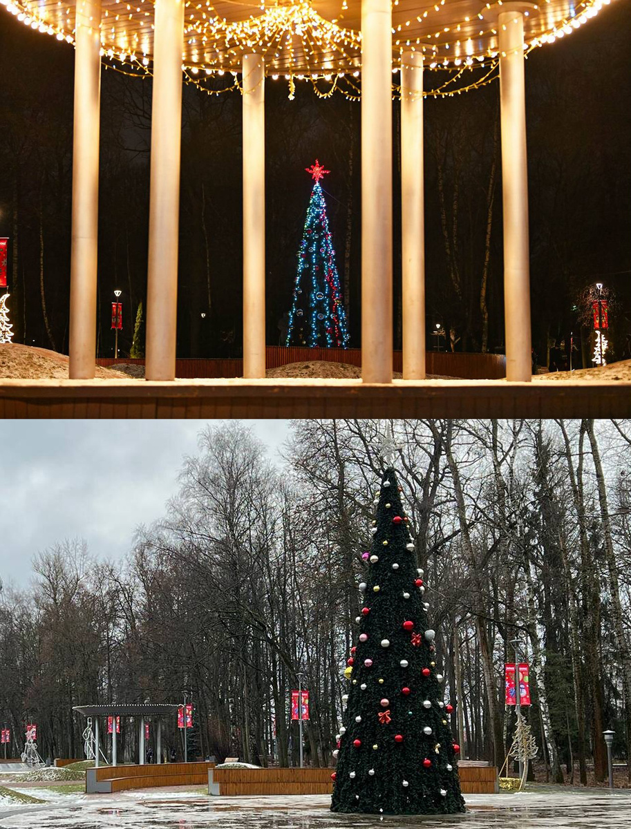 Елка, которую установили в парке Толстого, но издалека вроде и нарядно...