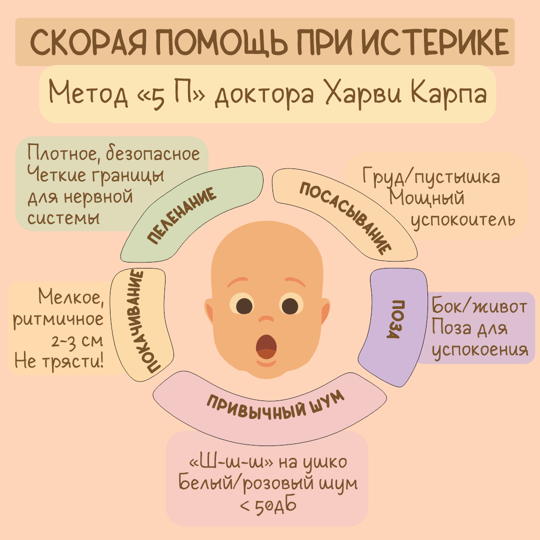  5 «П» доктора Харви Карпа.