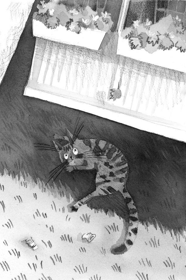 Из электронной книги